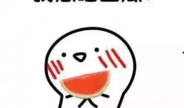 我爱吃瓜官网免费吃,我爱吃瓜官网带你开启美味之旅