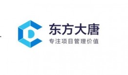 深圳东方最新爆料,揭秘行业背后惊人内幕