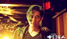 老严扮演者爆料视频播放,爆料视频播放背后的精彩瞬间