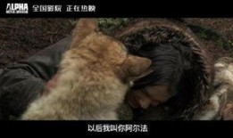 狼电影在线观看,在线观影，共赴狼族传奇之旅