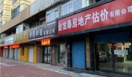 鹤岗火车站爆料视频播放,揭秘东北小城铁路变迁