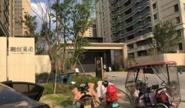 郑州小区最新爆料,揭秘神秘事件背后的真相