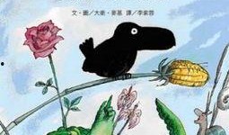 大嘴鸟在线观看,在线观看，探索神秘鸟类的奇幻之旅