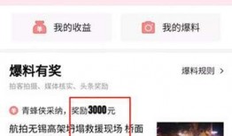 爆料视频在哪里看到,爆料视频背后的秘密，带你一探究竟