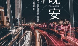 晚安城市爆料视频大全,视频大全中的夜生活魅力