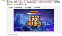 湖南跨年爆料事件视频播放,揭秘幕后真相
