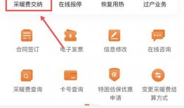 泉城爆料最新消息今天,今日热点事件速览