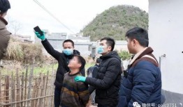 韶关乐昌新闻爆料事件,真相与舆论的交织