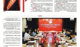 爆料视频专刊,专刊深度解析