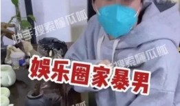 娱乐爆料家暴是真的吗,家暴真相揭秘，事实究竟如何？