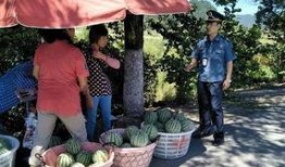 武都网红吃瓜群众事件,一场网络舆论的风暴与反思