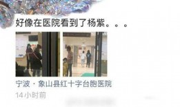 汉口医院爆料事件视频,真相与争议的交织