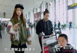 变形计完整版在线观看,揭秘真实生活，见证蜕变之旅
