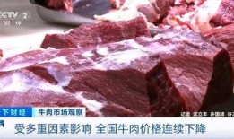 阳信牛肉爆料视频大全,视频大全带你领略地道风味