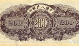 济宁女子爆料最新消息新闻,揭露惊人内幕，最新消息引发社会关注