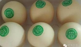 网友爆料鸡蛋视频大全集,鸡蛋视频大全集，揭秘鸡蛋的多样魅力