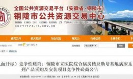 枞阳新闻爆料网最新公告,揭秘重大事件真相与进展