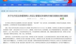 澎湃爆料新闻有无收入,揭秘收入背后的真相与争议