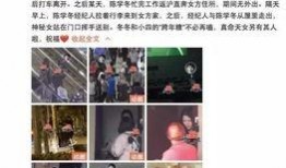 陈学冬最新爆料,揭秘娱乐圈不为人知的秘密