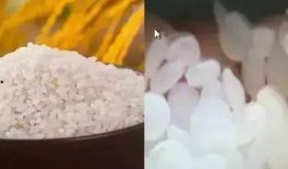 爆料假大米烧焦视频,烧焦视频揭露惊人内幕