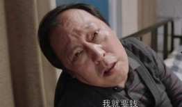 老严扮演者爆料视频播放,爆料视频播放背后的精彩瞬间