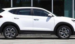 哈佛最新爆料消息视频播放,最新爆料视频深度解析