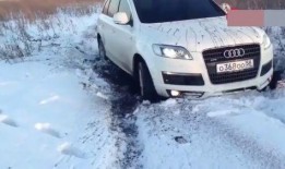 哈佛最新爆料消息视频播放,最新爆料视频深度解析