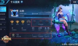 王者怎么看最新爆料消息,揭秘新英雄与版本更新动向