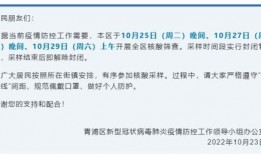 杨浦区核酸爆料事件最新,揭露背后真相与反思