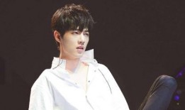 明星爆料之王一博视频,明星背后的真实生活