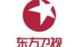 美国电视台爆料中国新闻,美国电视台曝光中国最新动态