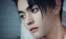 圈内八卦爆料白鹿许凯,甜蜜互动引网友热议