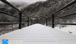 昆明爆料下雪视频大全,网友视频记录冬日美景