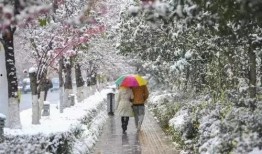 昆明爆料下雪视频大全,网友视频记录冬日美景