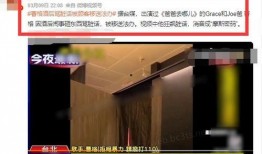 天津饭店爆料视频播放大全,一窥餐饮行业幕后真相