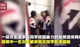 康纳被爆料视频,揭秘背后真相与影响
