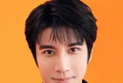 娱乐圈吃瓜博君一肖