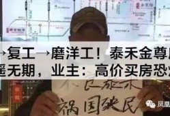 泰禾内部爆料事件始末视频,揭秘公司内幕与真相发酵过程