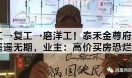 泰禾内部爆料事件始末视频,揭秘公司内幕与真相发酵过程