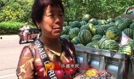 武都网红吃瓜群众事件,一场网络舆论的风暴与反思