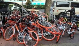 深圳共享单车爆料视频,一窥城市绿色出行背后的真相