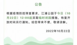 杨浦区核酸爆料事件最新,揭露背后真相与反思