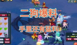 梦幻二狗爆料视频在线观看,揭秘幕后真相，带你领略网络红人魅力