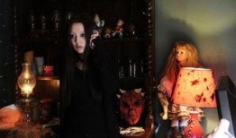 恐怖故事2在线观看,在线惊悚之旅