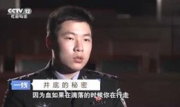 阿阳爆料林先生视频,揭秘背后惊人真相