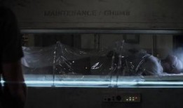 末日深眠在线观看免费,免费在线观看，揭秘末世生存秘籍