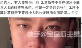 汪小菲被爆料录音视频,真相与争议的交织