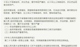 今日爆料图文并茂,今日重磅爆料，图文并茂呈现惊人内幕