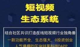 爆料短视频创业,揭秘短视频创业的奥秘与挑战